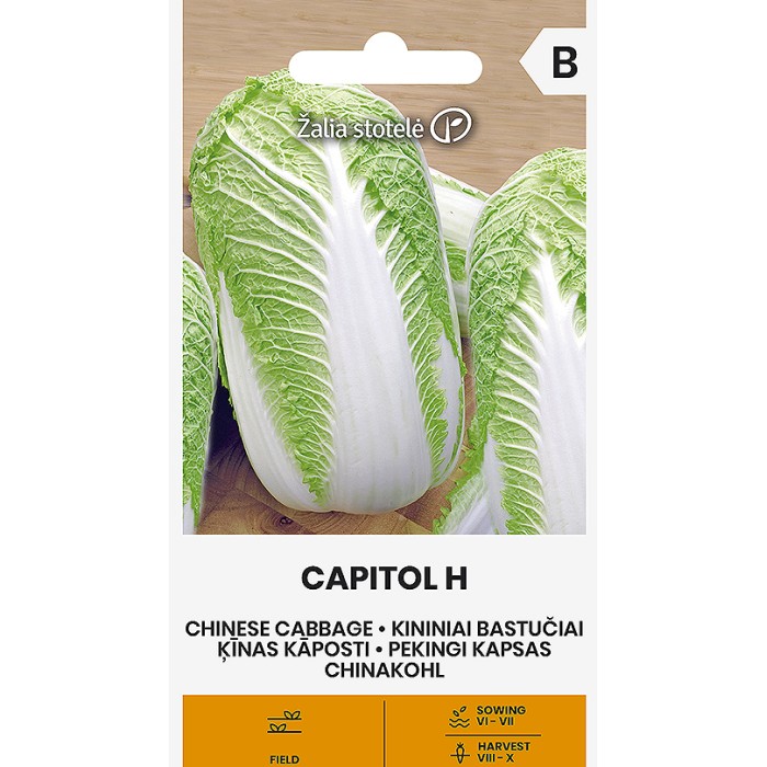 Зеле Китайско Капитол F1 Capitol H