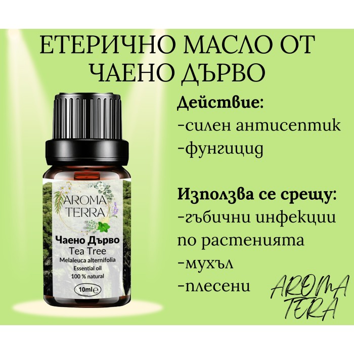 Етерично масло от Чаено дърво