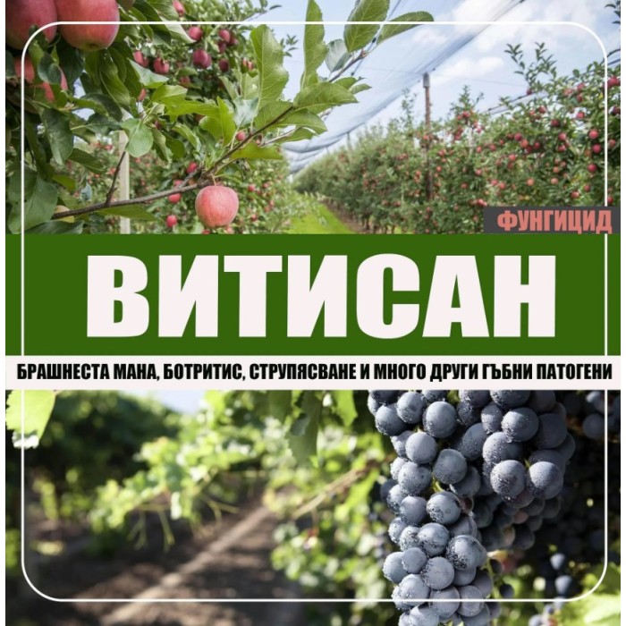 ВИТИСАН – природен фунгицид срещу брашнеста мана, струпясване и ботритис (сива плесен) - 1 кг