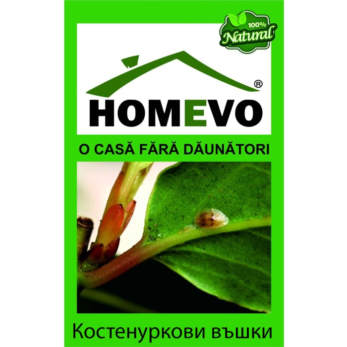 100% натурален препарат срещу Щитоносни (Костенуркови) въшки Homevo paduchi testosi
