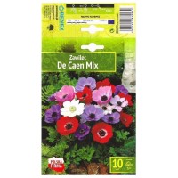 Анемония Микс Кан Anemone The Caen Mix- 10 бр луковици