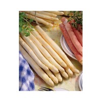 Аспержи Asparagus officinalis L - 1 бр коренище