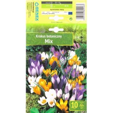 Минзухар Ботанически Микс Botanical Mix - 10 бр луковици