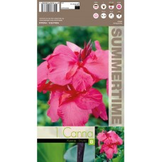 Индийска Кана Емпайър Canna Indica - 1 бр луковица
