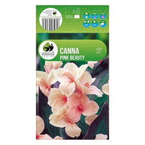 Кана Пинк Бюти Canna - 1 бр луковица