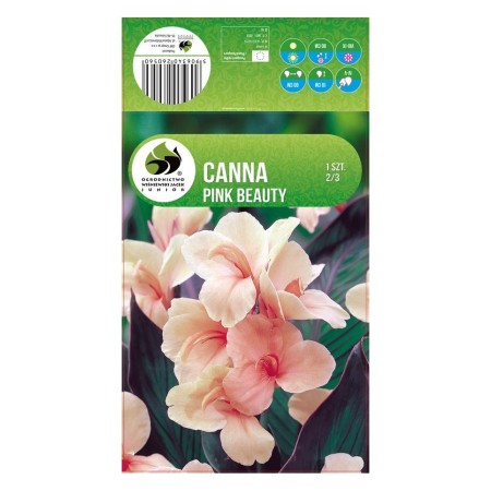 Кана Пинк Бюти Canna - 1 бр луковица