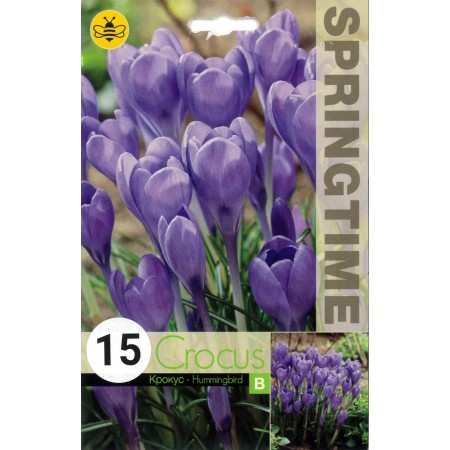 Минзухар Колибри Crocus Hummingbird - 15 бр луковици