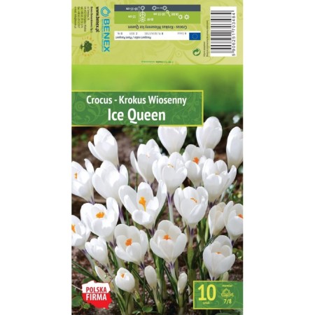 Минзухар Ледена кралица Crocus Ice Queen - 10 бр луковици