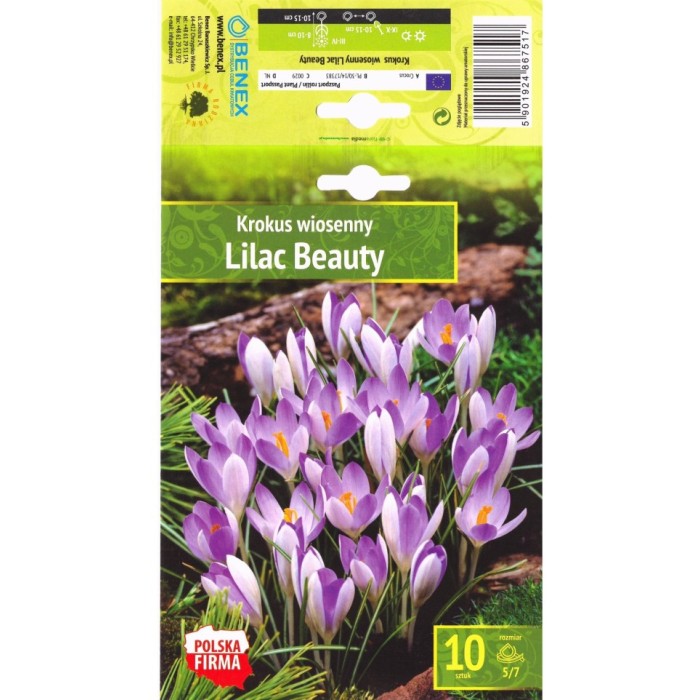 Минзухар Лилава красота Crocus Lilac Beauty - 10 бр луковици