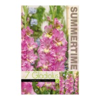 Гладиоли Gladiolus Ruffled Happy Disco - 7 бр луковици