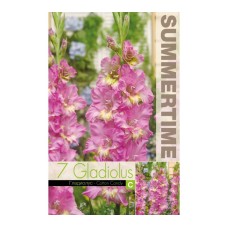 Гладиоли Gladiolus Ruffled Happy Disco - 7 бр луковици
