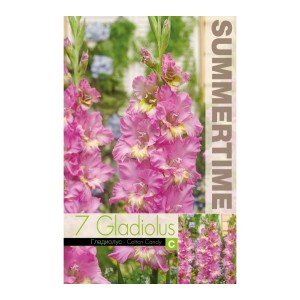 Гладиоли Gladiolus Ruffled Happy Disco - 7 бр луковици