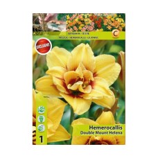Хемерокалис Hemerocallis Double Mount Helena - 1 бр луковица