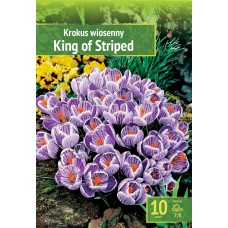 Минзухар Краля на райетата King of the striped - 10 бр луковици