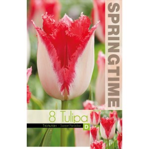 Лале Сладък рай Tulipa sweet paradise - 8 бр луковици
