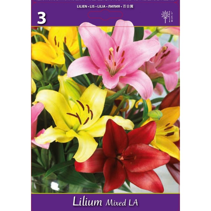 Лилиум Микс L.A. Lilium Mixed L.A. - 3 бр луковици