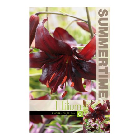 Лилиум Night Flyer Lilium L - 1 бр луковица