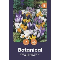 Минзухар Микс Ботанически - AGRONOM - 7 бр луковици