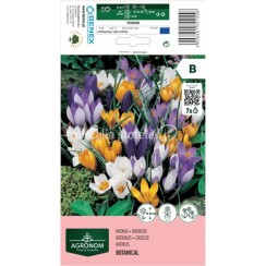 Минзухар Микс Гигант - AGRONOM - 7 бр луковици