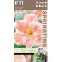Нарцис Прасковен вихър Narcissus Apricot Whirl - 3 бр луковици