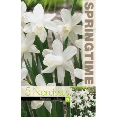 Нарцис Айс бейби Narcissus Ice Baby - 5 бр луковици