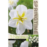 Нарцис Лимонена красота Narcissus Lemon Beauty - 5 бр луковици