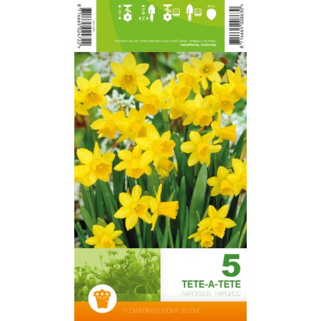 Нарцис Тет-а-Тет Narcissus Tete-a-Tete - 5 бр луковици