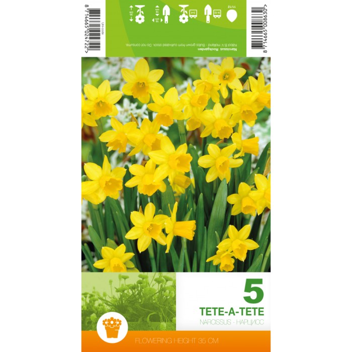 Нарцис Тет-а-Тет Narcissus Tete-a-Tete - 5 бр луковици