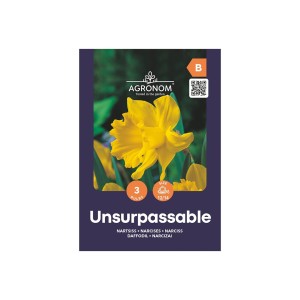 Нарцис Ненадминат Narcissus Unsurpassable - AGRONOM - 3 бр луковици