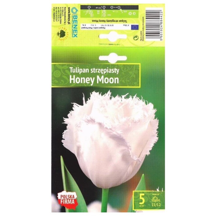 Лале Меден месец Tulipа Honey Moon - 5 бр луковици