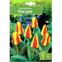 Лале Първа любов Tulipa First Love - 5 бр луковици