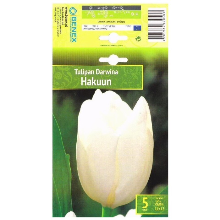 Лале Хакуун Tulipa Hakuun - 5 бр луковици