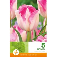 Лале Инфинити Tulipa Infinity - 5 бр луковици