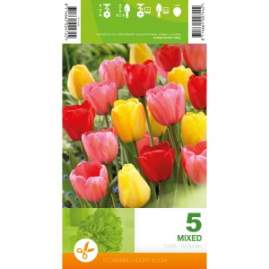 Лале Микс Дарвин Хибрид Tulipа Mix Darwin Hybrid - 5 бр луковици