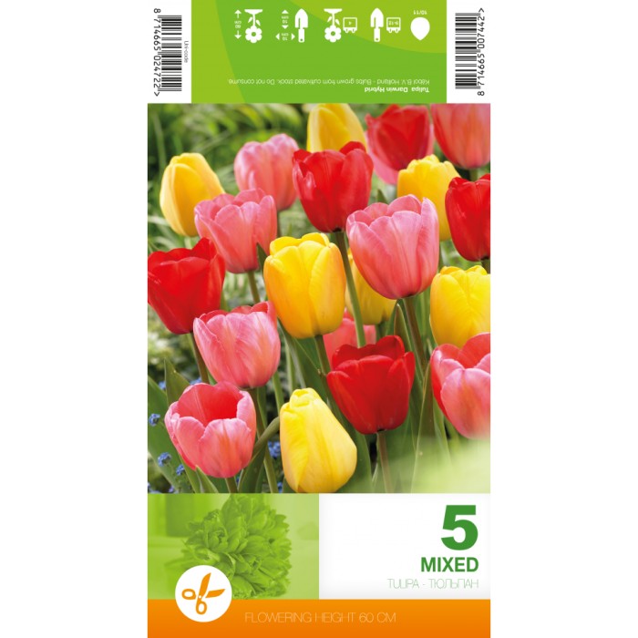 Лале Микс Дарвин Хибрид Tulipа Mix Darwin Hybrid - 5 бр луковици