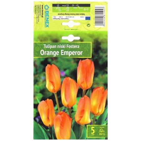 Лале Оранжев Император Tulipa Orange Emperor - 5 бр луковици