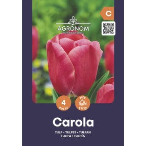 Лале Карола Tulip Carola - AGRONOM - 4 бр луковици