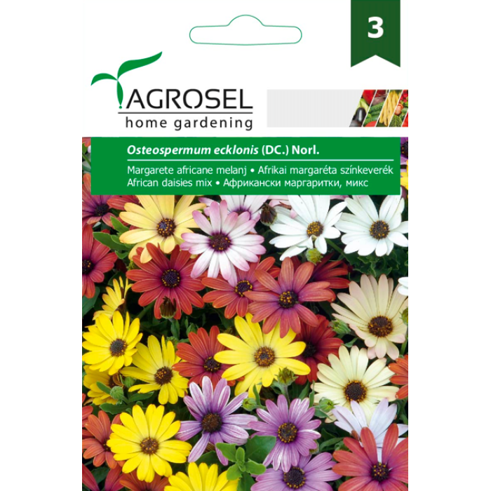 Африкански Маргаритки Микс Osteospermum ecklonis