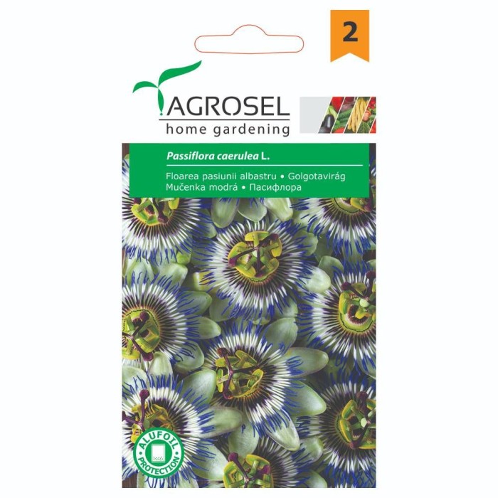 Пасифлора Passiflora caerulea L