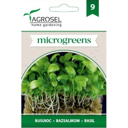 Семена за Микро Босилек (Ocimum basilicum) - 4 гр