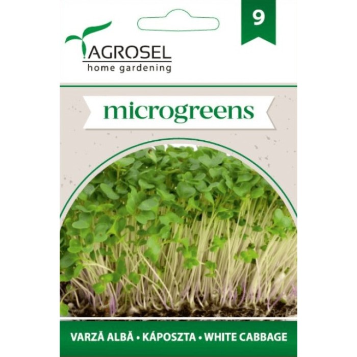 Семена за Микро Бяло зеле (Brassica oleracea var capitata) - 8 гр