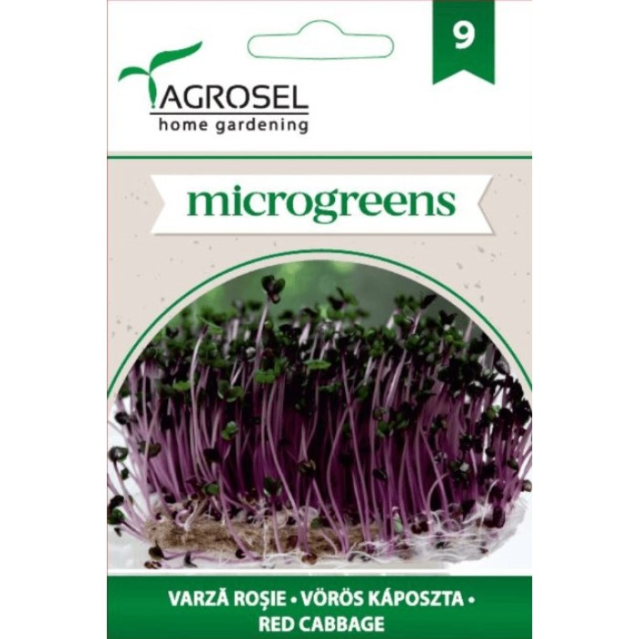 Семена за Микро Червено зеле (Brassica oleracea var capitata f rubra) - 8 гр