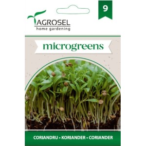Семена за Микро Кориандър (Coriandrum sativum) - 4 гр
