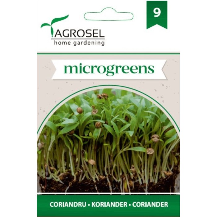 Семена за Микро Кориандър (Coriandrum sativum) - 4 гр
