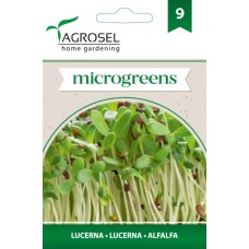 Семена за Микро Люцерна (Medicago sativa) - 5 гр