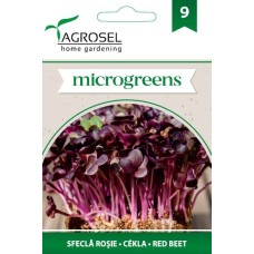 Семена за Микро Салатно Цвекло (Beta vulgaris) - 5 гр