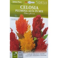 Целозия Висока Микс Celosia plumosa