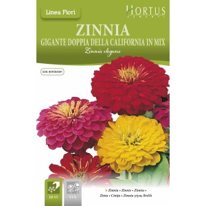Циния Двойна Голяма Калифорнийски Микс Zinnia Elegans