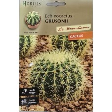 Кактус Ехинокактус (Echinocactus grusonii)