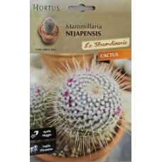Кактус Мамилария (Mammillaria nejapensis)